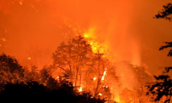Elevadas temperaturas obligan medidas de protección Elevadas temperaturas obligan medidas de protección