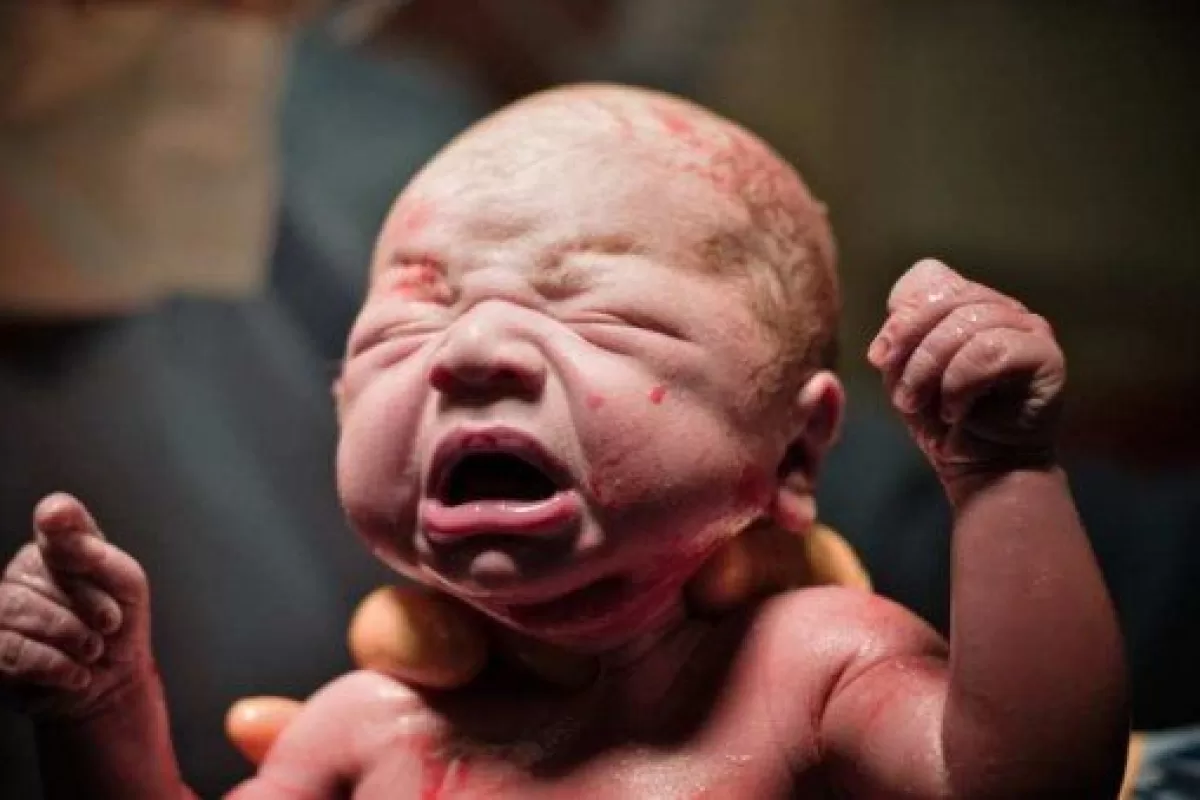 Aborto