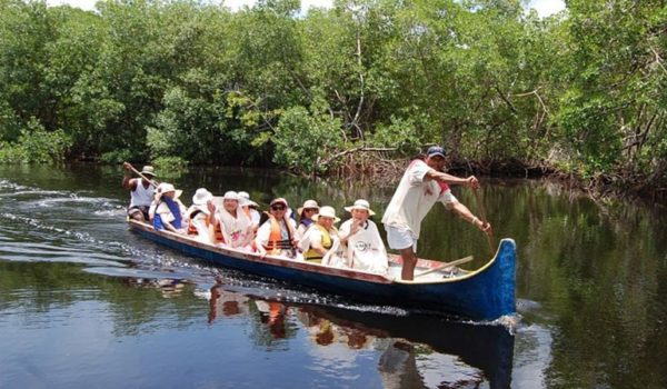 Proyecto  que modifica Ley del Turismo fue aprobado en primer debate del Congreso