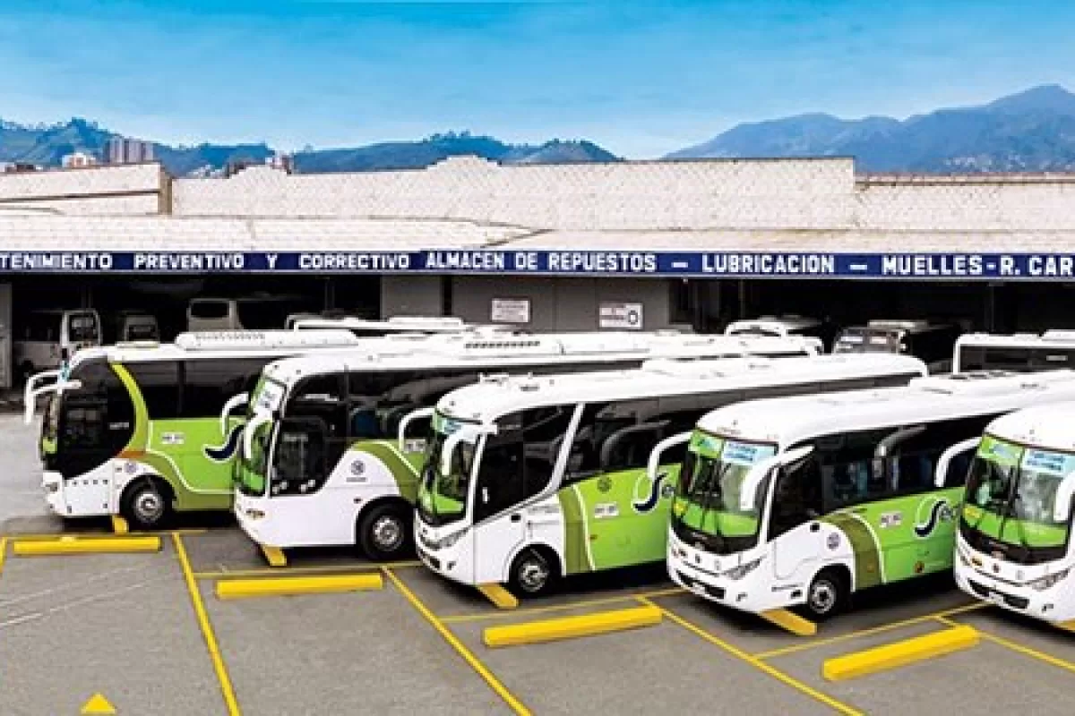 Transportadores