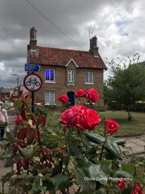 La magia de Saffron Walden La magia de Saffron Walden