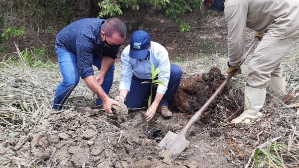 Yotoco por la defensa de los humedales y ecosistemas Yotoco por la defensa de los humedales y ecosistemas