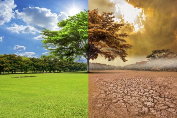 SOS del Planeta en Día Internacional contra el Cambio Climático