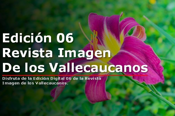 Edición digital 06 Revista Imagen de los Vallecaucanos