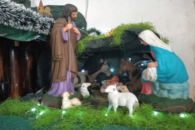 Profecías de Jesucristo y su nacimiento que los judíos rechazan Profecías de Jesucristo y su nacimiento que los judíos rechazan