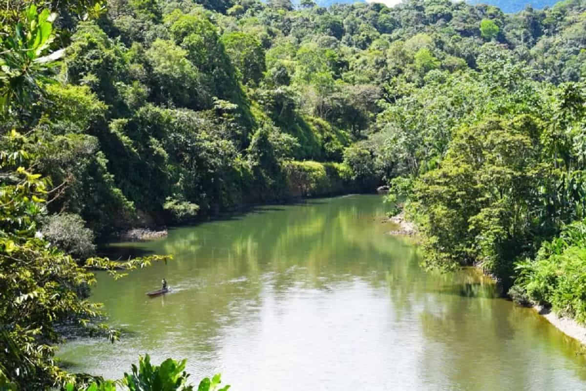 Colombia se une a llamado de Reino Unido para proteger ecosistemas y  biodiversidad