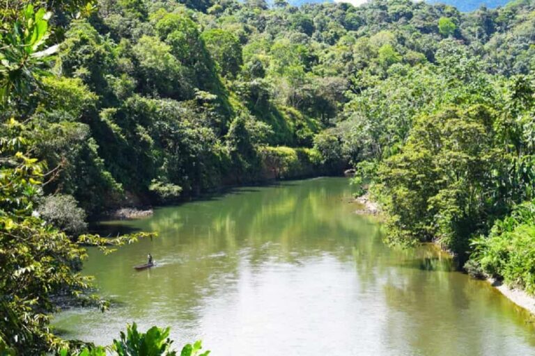 Colombia se une a llamado de Reino Unido para proteger ecosistemas y biodiversidad Colombia se une a llamado de Reino Unido para proteger ecosistemas y biodiversidad