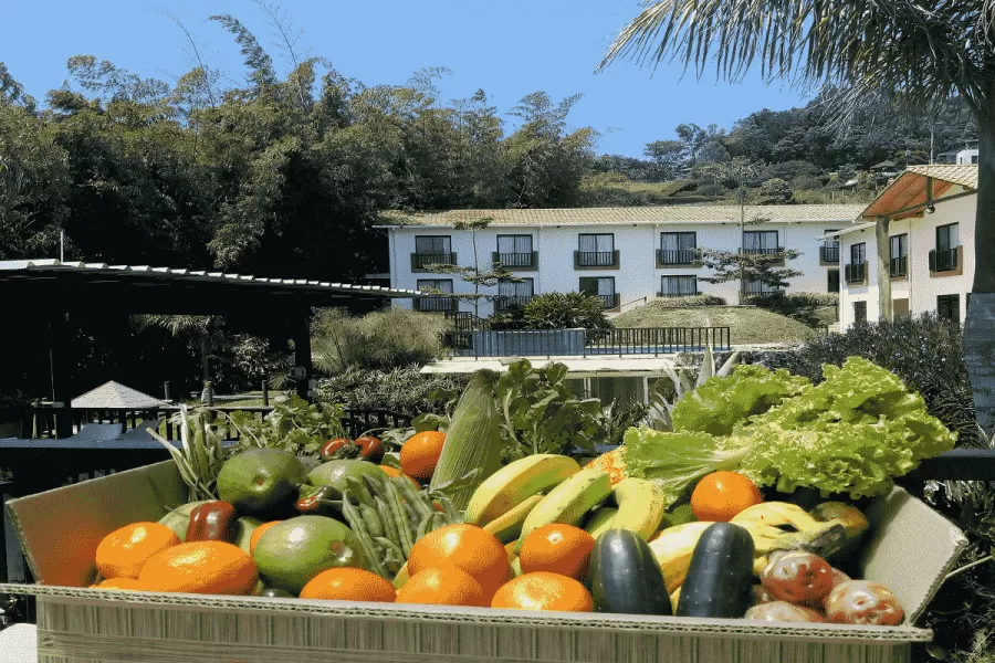 La Huerta Hotel: Genuina experiencia de Agroturismo Orgánico con máximo confort La Huerta Hotel: Genuina experiencia de Agroturismo Orgánico con máximo confort