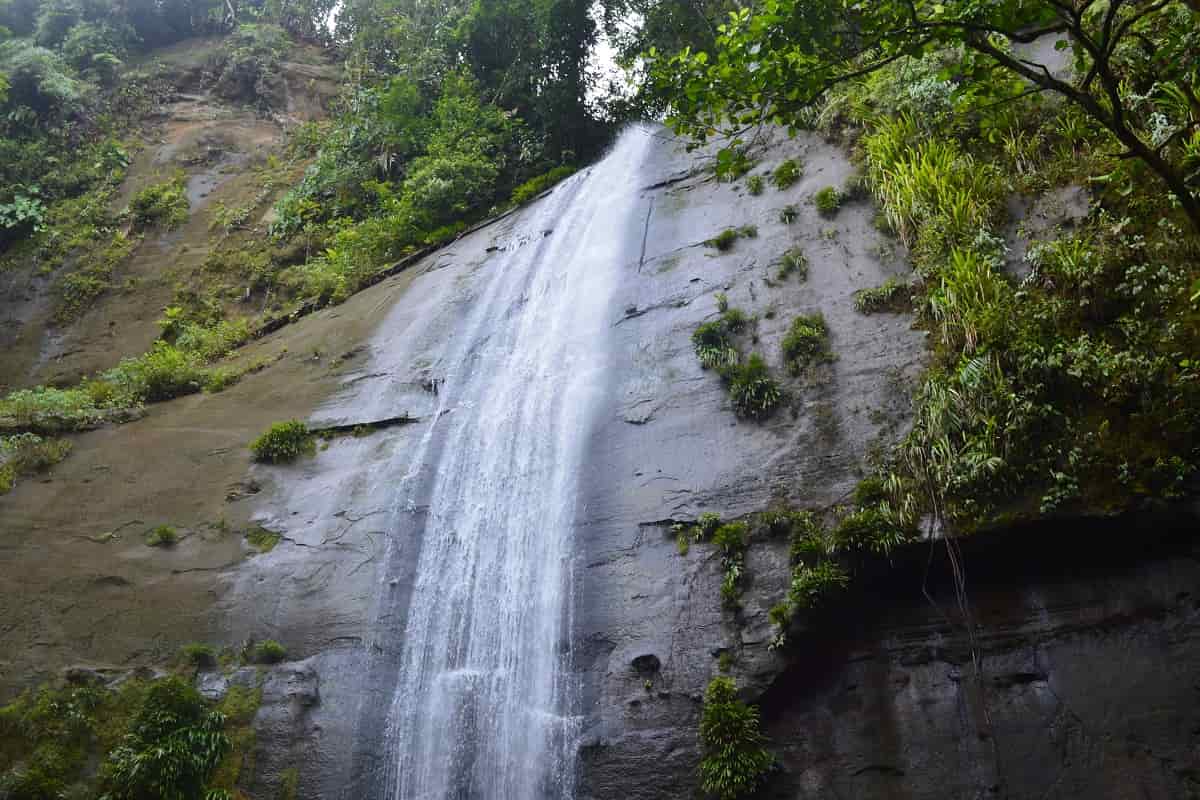 El agua que da vida al suelo vallecaucano