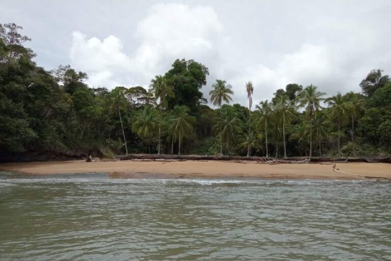 El Pacífico revela sus encantos en Ladrilleros LADRILLEROS PACIFICO COLOMBIANO-min