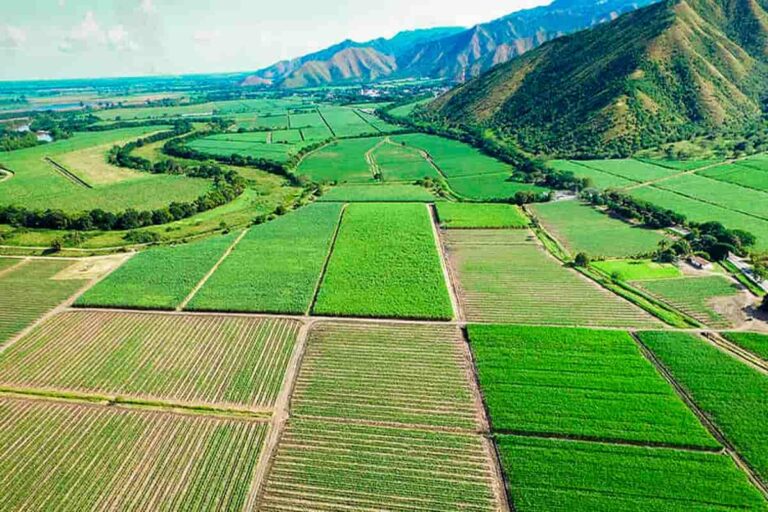 Valle del Cauca: retos y oportunidades en días de pandemia Valle del Cauca: retos y oportunidades en días de pandemia