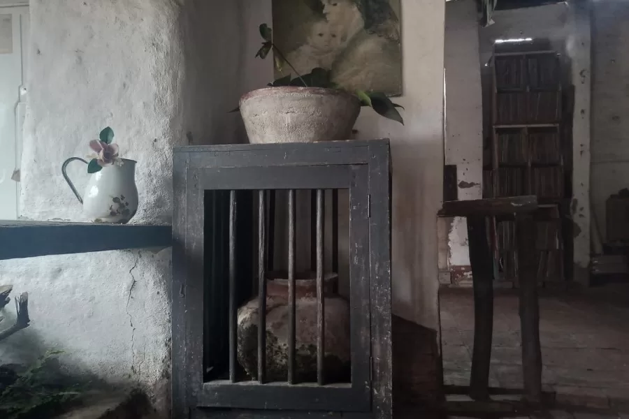 Valle del Cauca 111 y más,Chuchú en su choza descubre sus historias Valle del Cauca 111 y más,Chuchú en su choza descubre sus historias