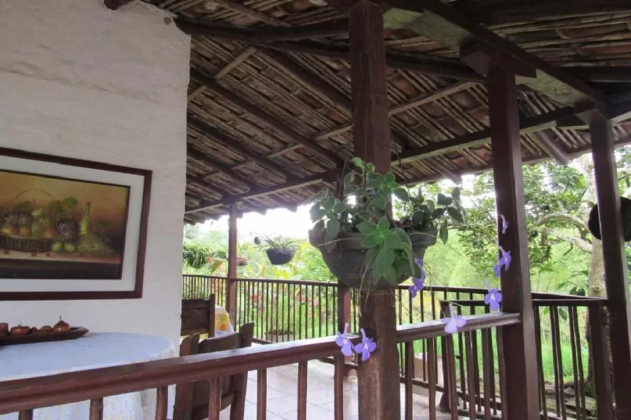 Ecoturismo y más, para visitar zona rural de Buga Ecoturismo y más, para visitar zona rural de Buga