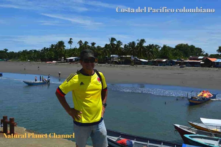 Avistamiento de ballenas en el Pacífico con Alonso Moreno Sáenz enviado especial Avistamiento de ballenas en el Pacífico con Alonso Moreno Sáenz enviado especial