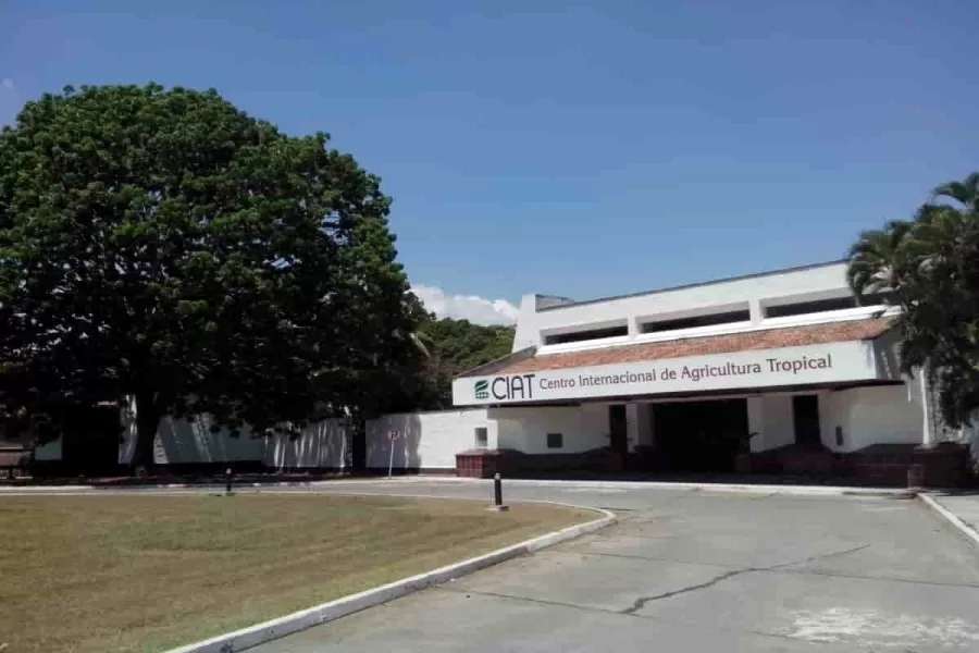 Palmira, municipio agroindustrial del Valle del Cauca que merece ser conocido
