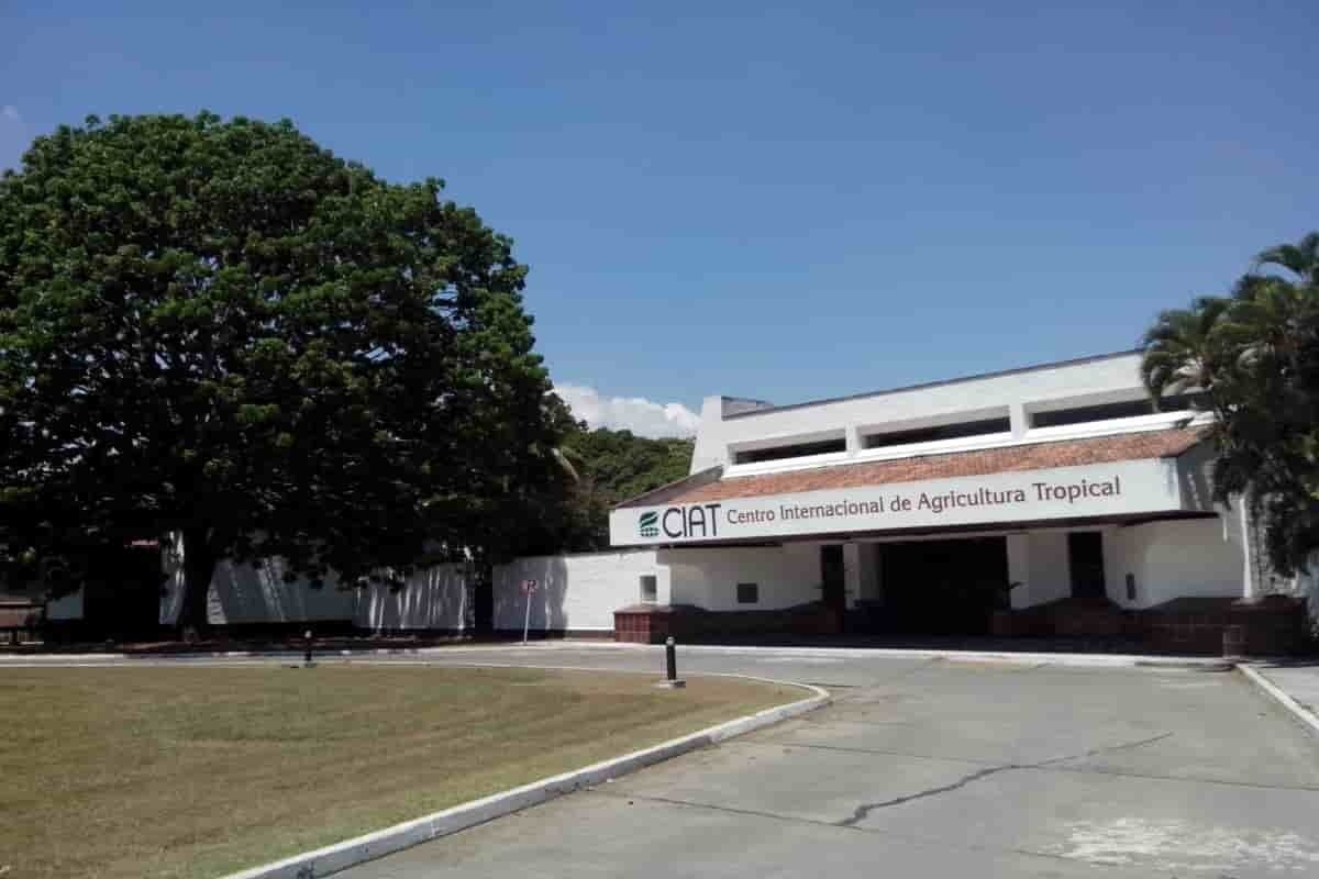 Palmira, municipio agroindustrial del Valle del Cauca que merece ser conocido