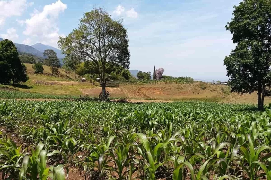 Palmira, municipio agroindustrial del Valle del Cauca que merece ser conocido