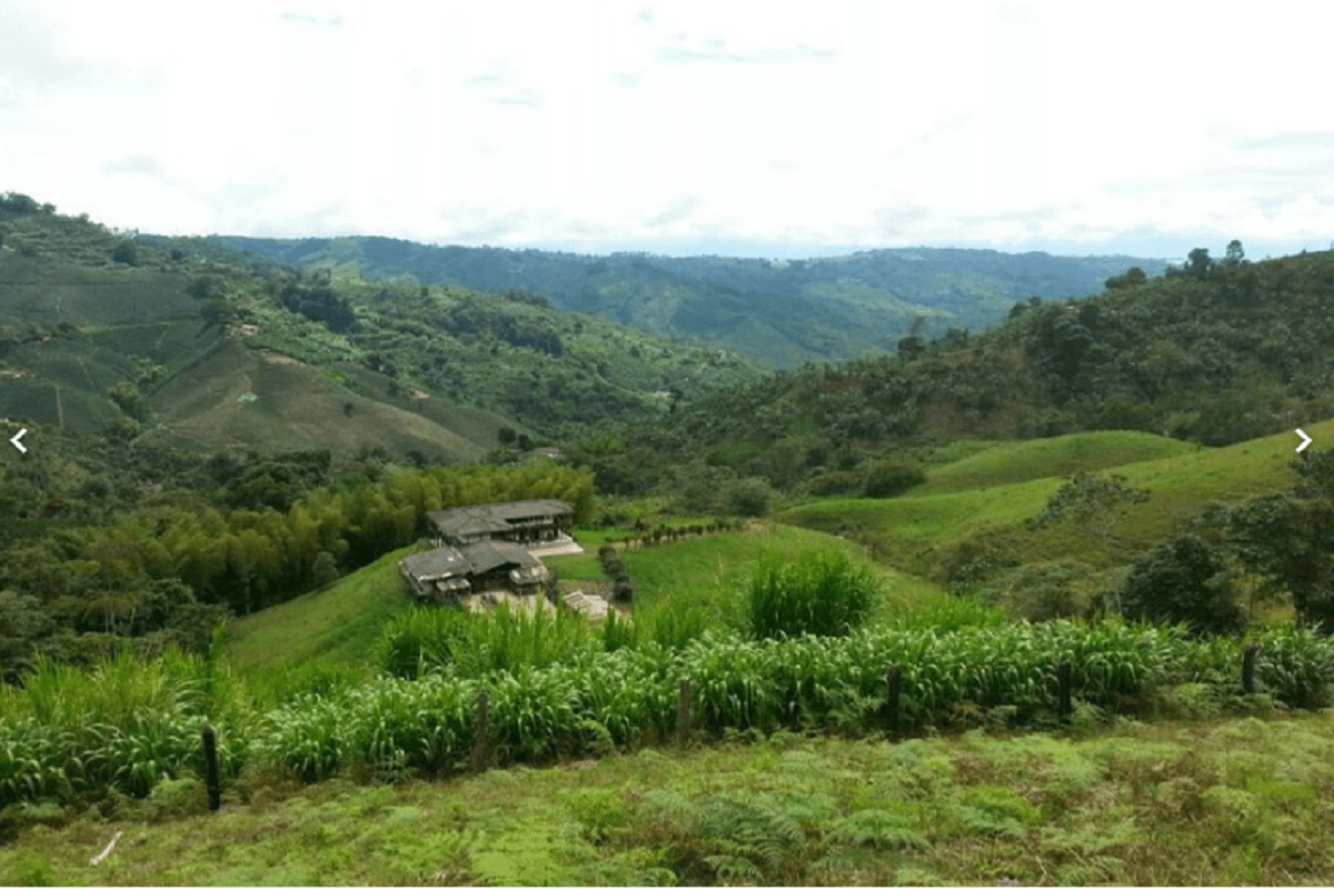 Sevilla,el balcón para contemplar el Valle del Cauca Sevilla,el balcón para contemplar el Valle del Cauca