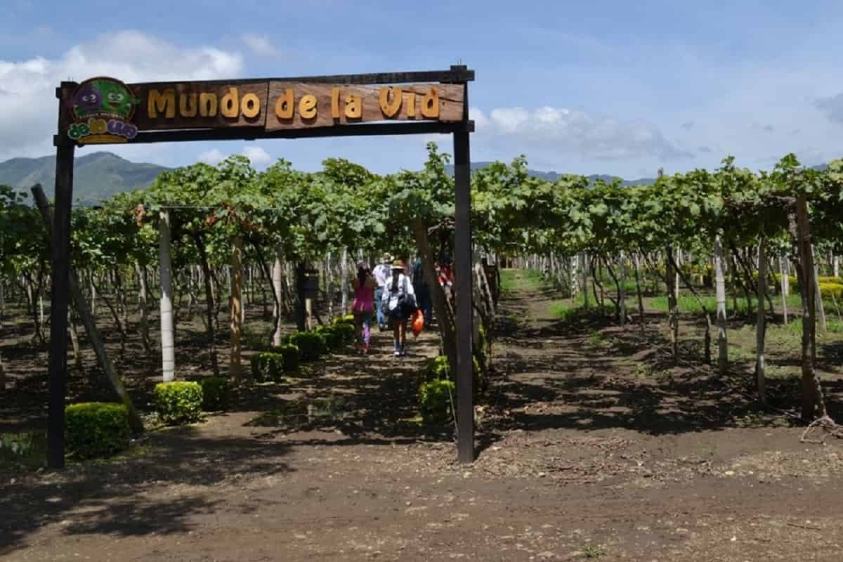 La Unión, municipio vallecaucano con los mejores vinos que embriaga con su paisaje