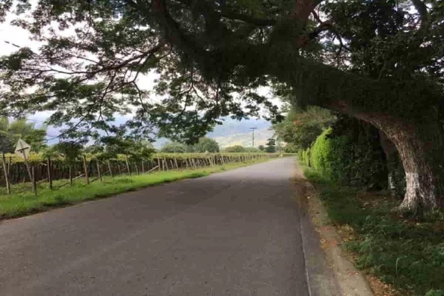 Ginebra,Pueblo Mágico del Valle del Cauca para visitar Ginebra,Pueblo Mágico del Valle del Cauca para visitar