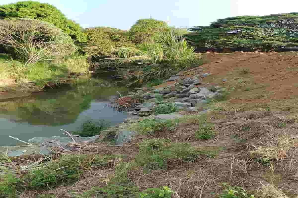 Denuncia ambiental en Yotoco, SOS por río Mediacanoa Denuncia ambiental en Yotoco, SOS por río Mediacanoa