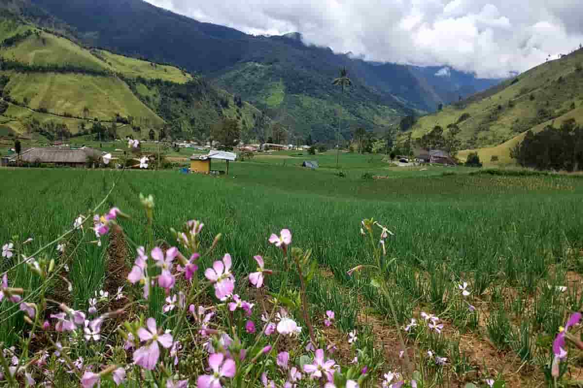 El Cerrito, el municipio del paraíso vallecaucano para visitar
