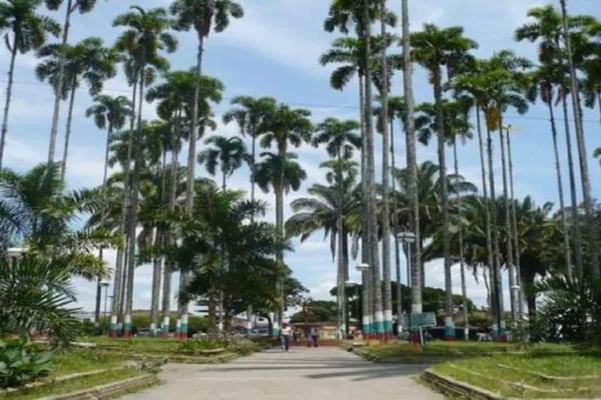 Caicedonia  municipio “Centinela”  del Valle del Cauca que sabe a Café