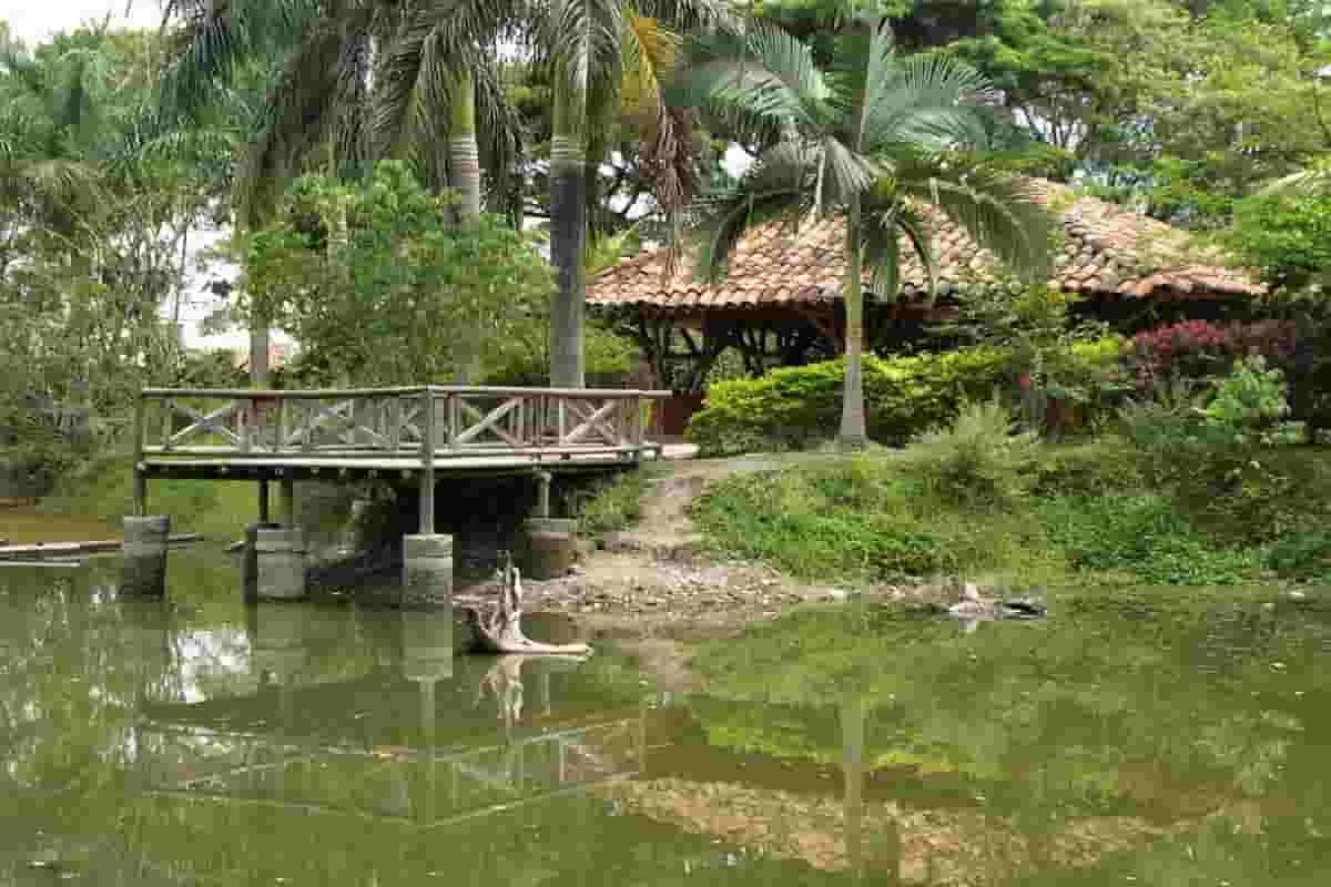 Cartago, capital mundial del bordado, ciudad con historia y tradición Cartago, capital mundial del bordado, ciudad con historia y tradición