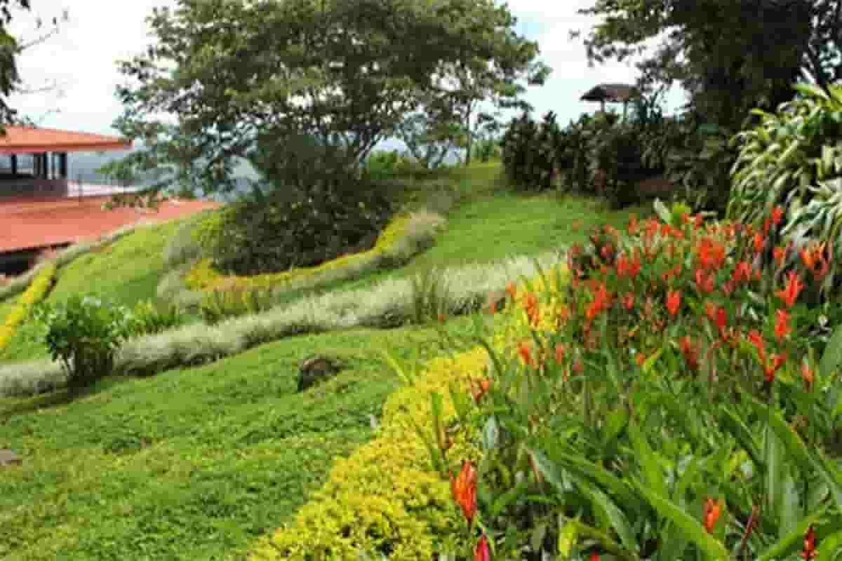 Caicedonia  municipio “Centinela”  del Valle del Cauca que sabe a Café