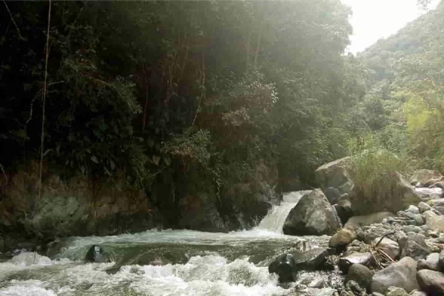 Guacarí, municipio de maestros y músicos en el Valle del Cauca Guacarí, municipio de maestros y músicos en el Valle del Cauca