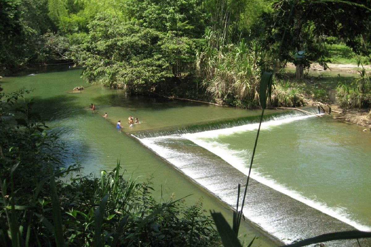 Zarzal el municipio dulce del Valle del Cauca Zarzal el municipio dulce del Valle del Cauca