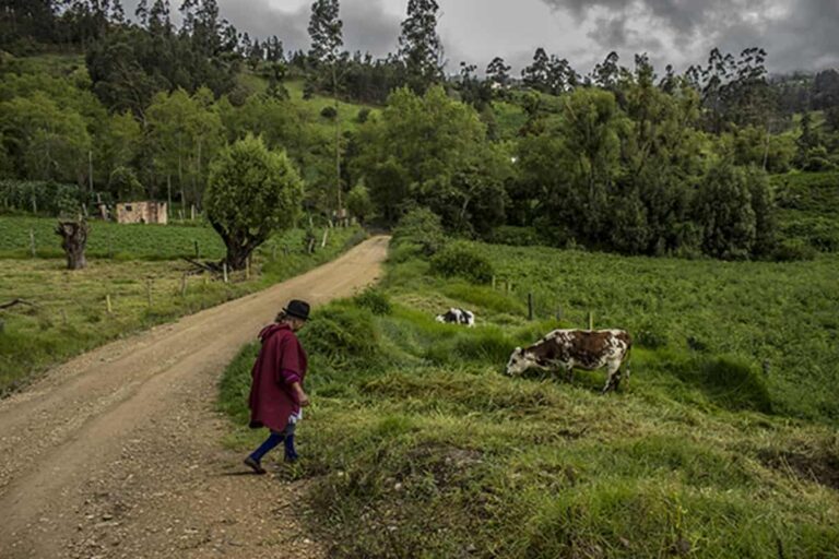 El campo urge salir de la pobreza y el atraso El campo urge salir de la pobreza y el atraso