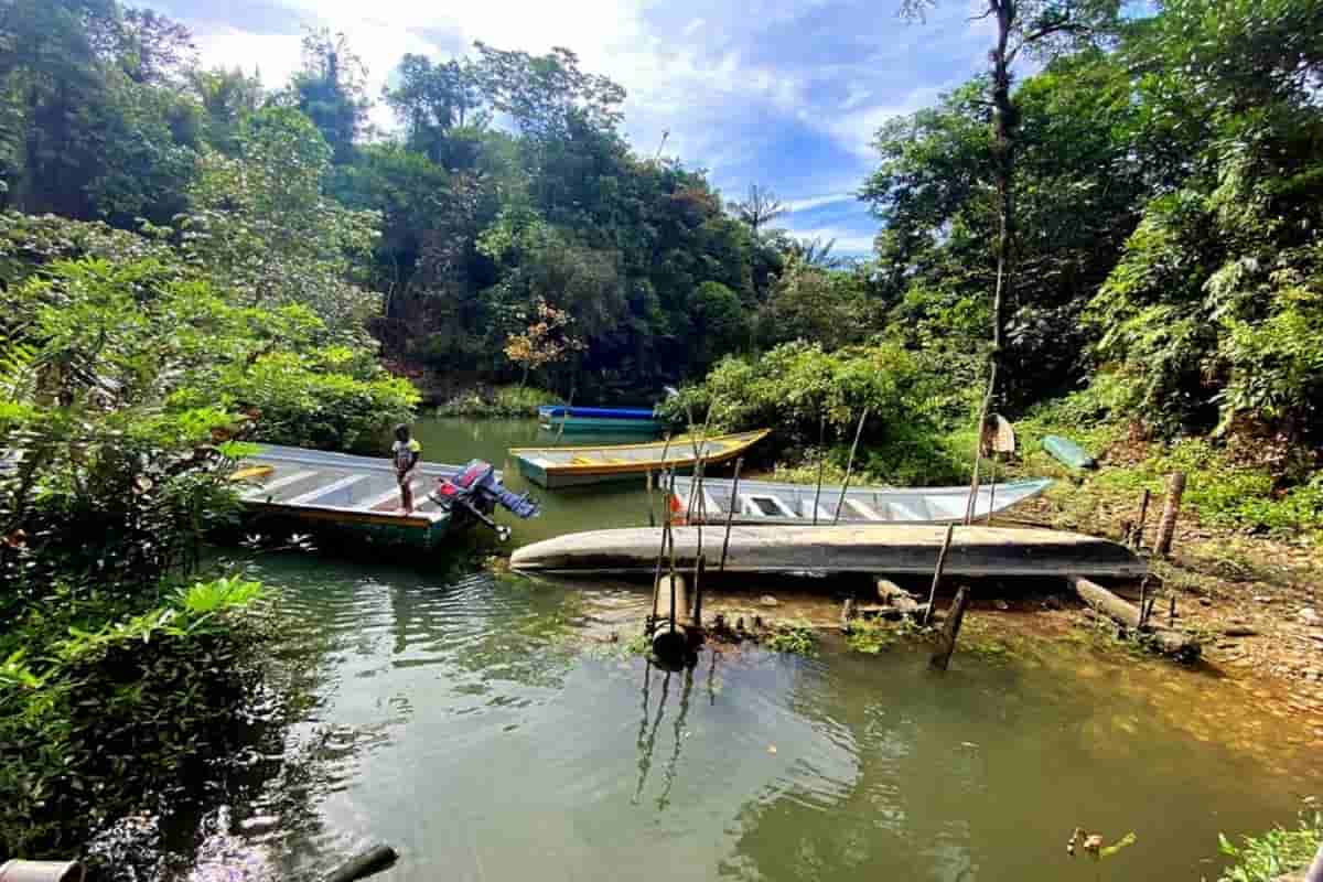 Aventura en los manglares y esteros del Pacífico Aventura en los manglares y esteros del Pacífico