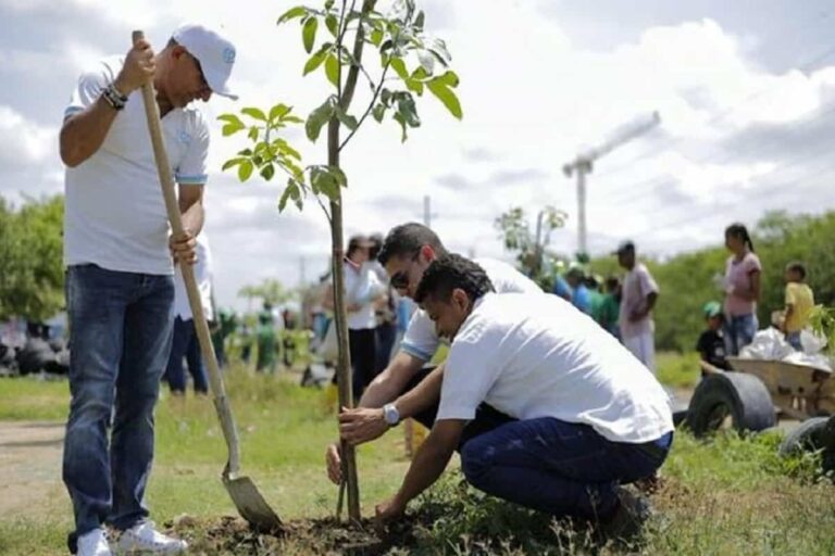 Convocatoria para sembrar un millón cien mil árboles abre MinAmbiente en Colombia Convocatoria para sembrar un millón cien mil árboles abre MinAmbiente en Colombia