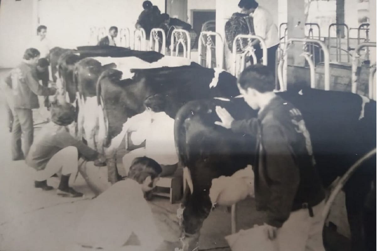 El presente de la Institución Educativa Agrícola ITA de Guadalajara de Buga El presente de la Institución Educativa Agrícola ITA de Guadalajara de Buga