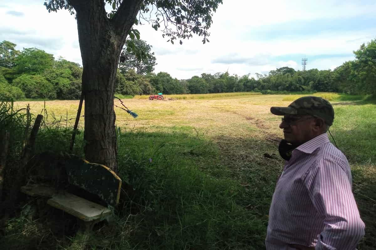 Salvando el campo con la educación. El testimonio de Hugo Insuasty Salvando el campo con la educación. El testimonio de Hugo Insuasty
