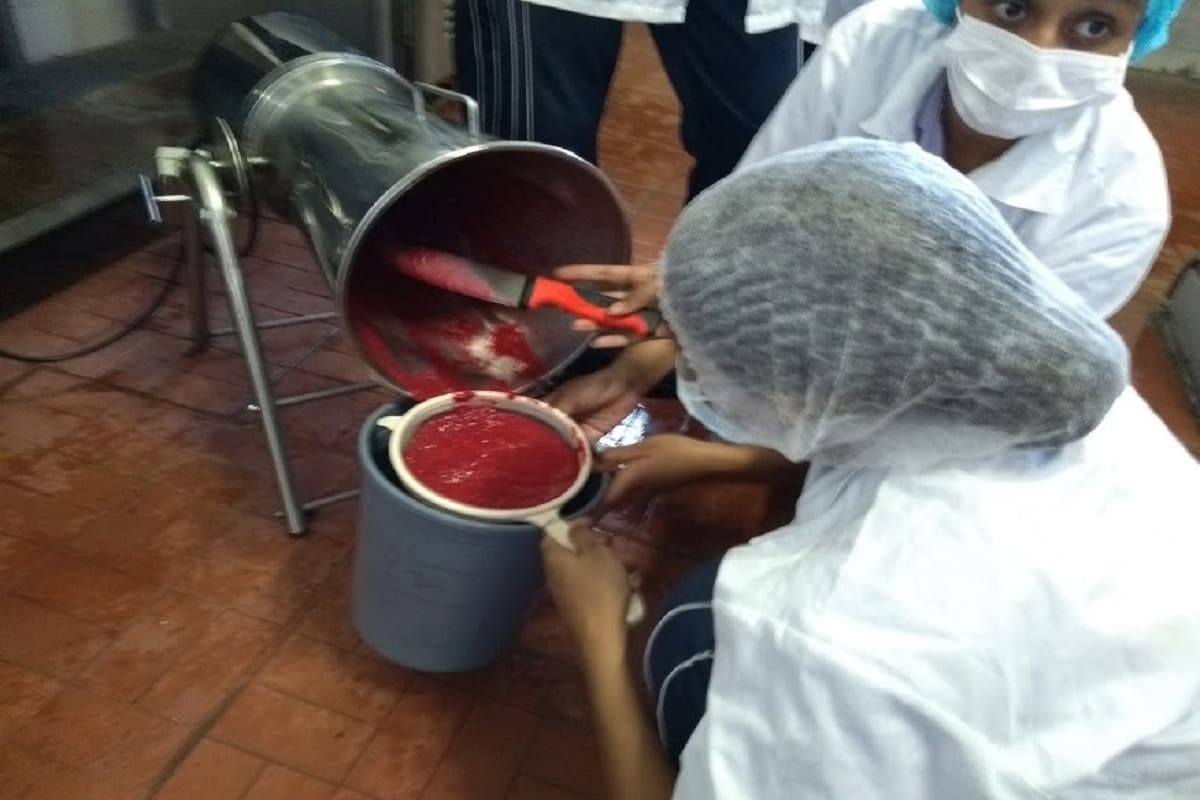 Una finca en la ciudad donde se goza aprendiendo