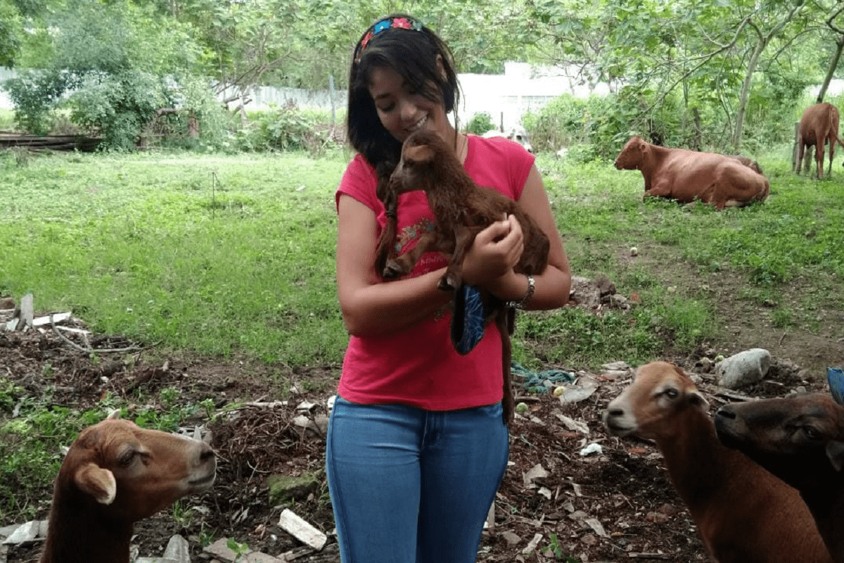 Una finca en la ciudad donde se goza aprendiendo