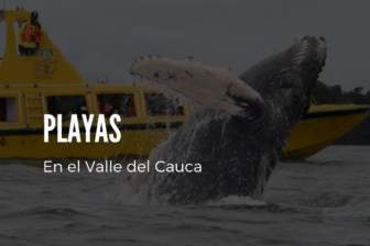 Viaje a Colombia en el 2022, descubra los sitios turísticos del Valle del Cauca Foro recuperada de: Ecoglobal Expeditions