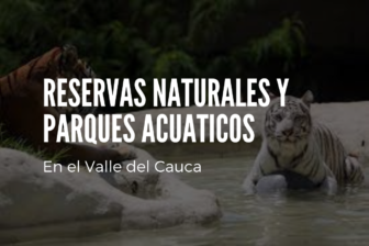 Viaje a Colombia en el 2022, descubra los sitios turísticos del Valle del Cauca Imagen recuperada de: El Tiempo