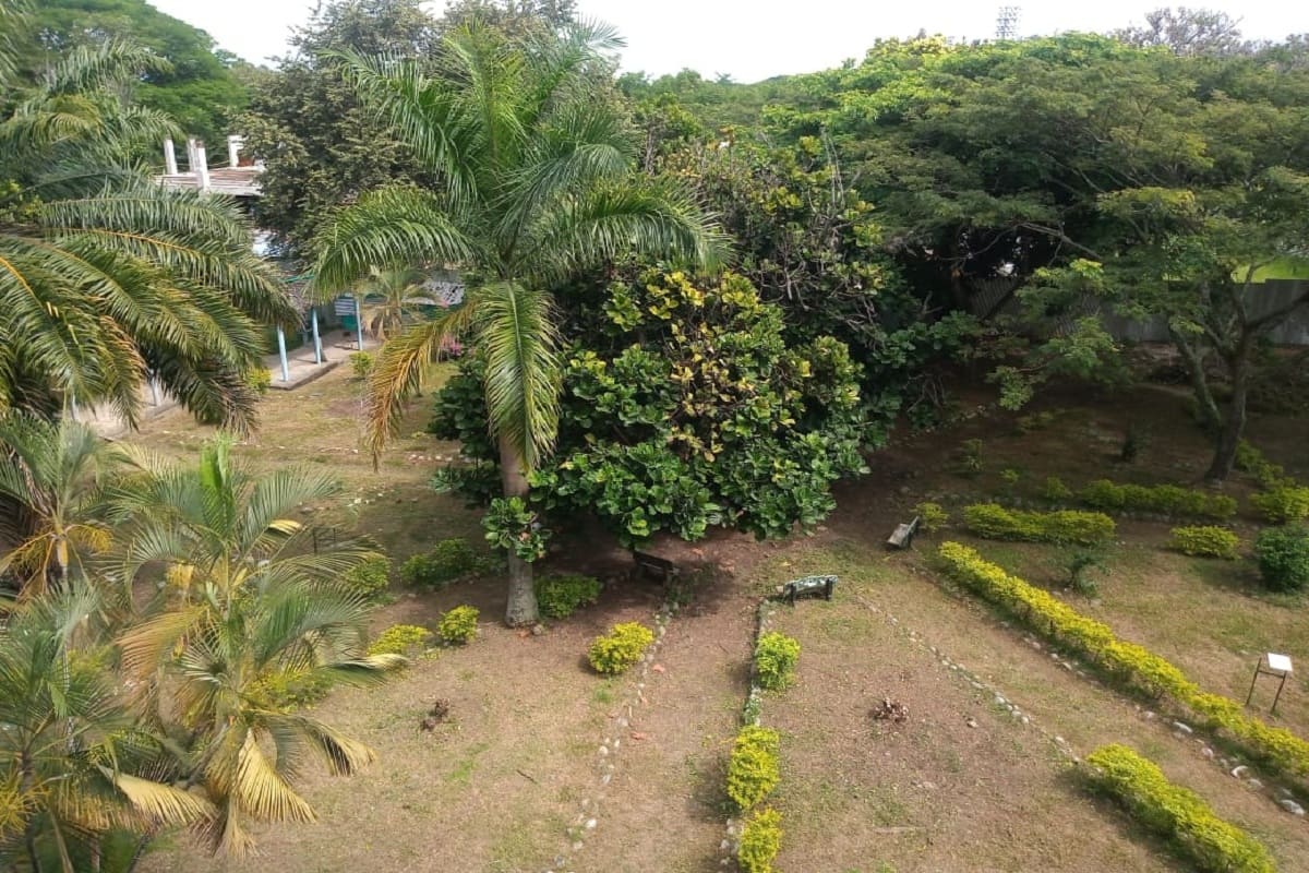 Una finca en la ciudad donde se goza aprendiendo
