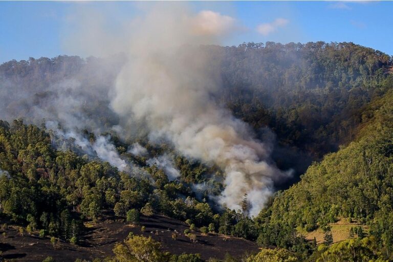 POR PRIMERA VEZ SE IMPUTAN CARGOS POR DELITO AMBIENTAL EN COLOMBIA POR PRIMERA VEZ SE IMPUTAN CARGOS POR DELITO AMBIENTAL EN COLOMBIA