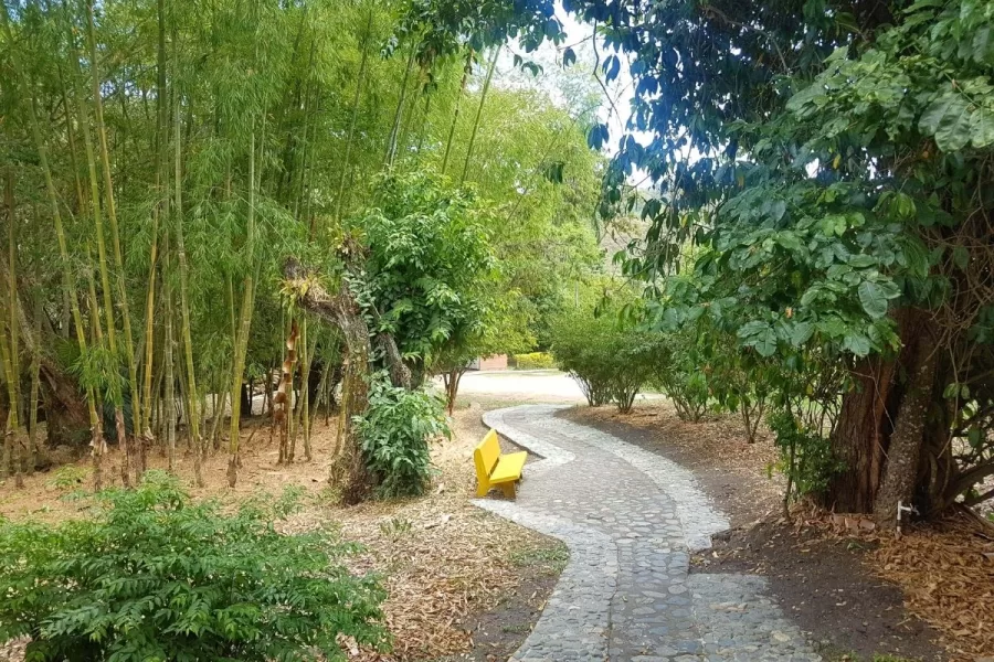 Jardín Botánico Tuluá, más de 50 años preservando la fauna y flora del departamento vallecaucano. Fauna y Flora