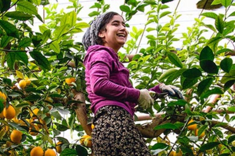 COLOMBIA PARTICIPA EN ESTOCOLMO+50 POR PRIORIDADES AMBIENTALES COLOMBIA PARTICIPA EN ESTOCOLMO+50 POR PRIORIDADES AMBIENTALES