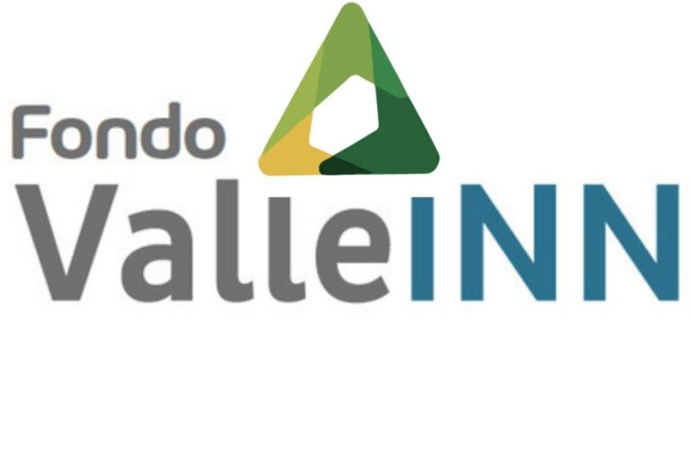 VALLE INN LIDER EN REACTIVACIÓN ECONÓMICA VALLE INN LIDER EN REACTIVACIÓN ECONÓMICA