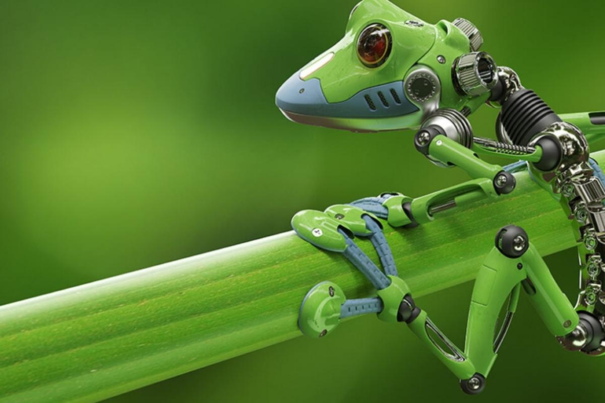 CIENTÍFICOS CREARON XENOBOTS, ROBOTS REPRODUCTORES