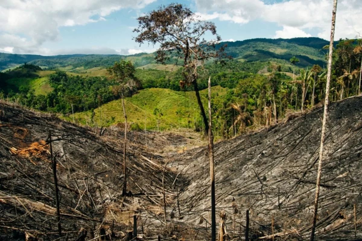 COLOMBIA UNO DE LOS PAÍSES MÁS VULNERABLES AL CAMBIO CLIMÁTICO