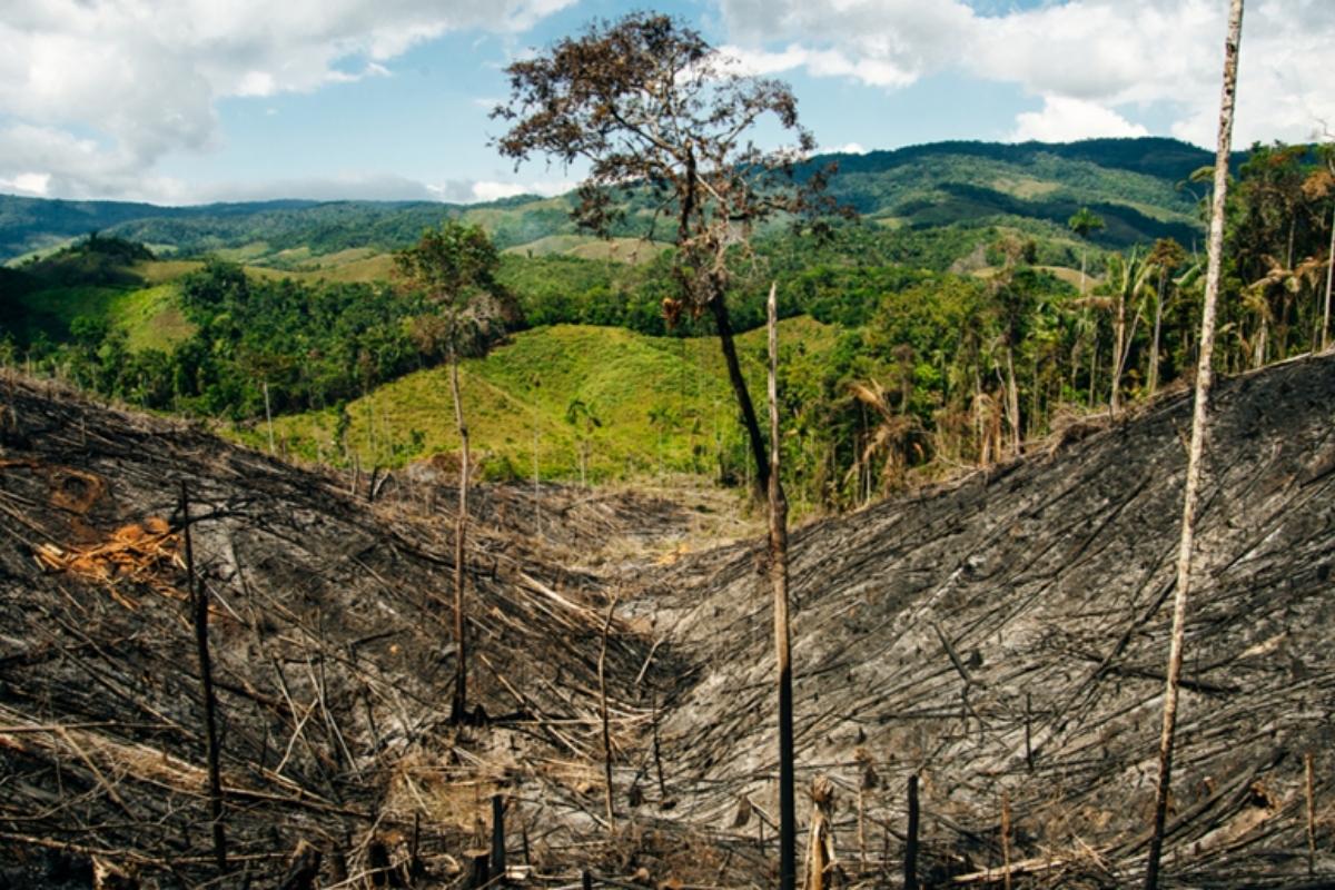 COLOMBIA UNO DE LOS PAÍSES MÁS VULNERABLES AL CAMBIO CLIMÁTICO
