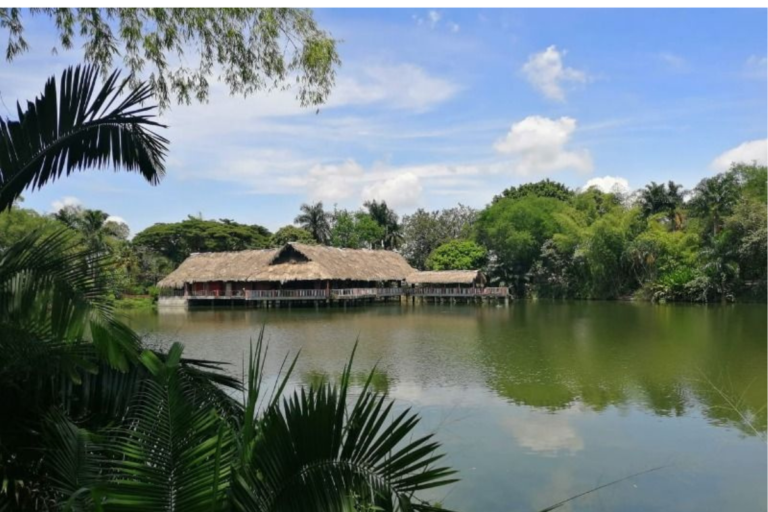 Parque Municipal el Bosque