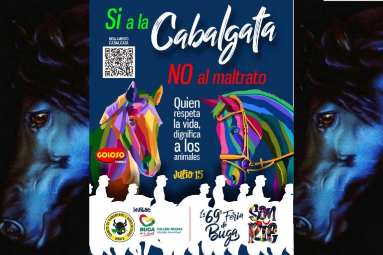 ¡SI A LA CABALGATA NO AL MALTRATO! VIVE LA FERIA DE BUGA ¡SI A LA CABALGATA NO AL MALTRATO! VIVE LA FERIA DE BUGA